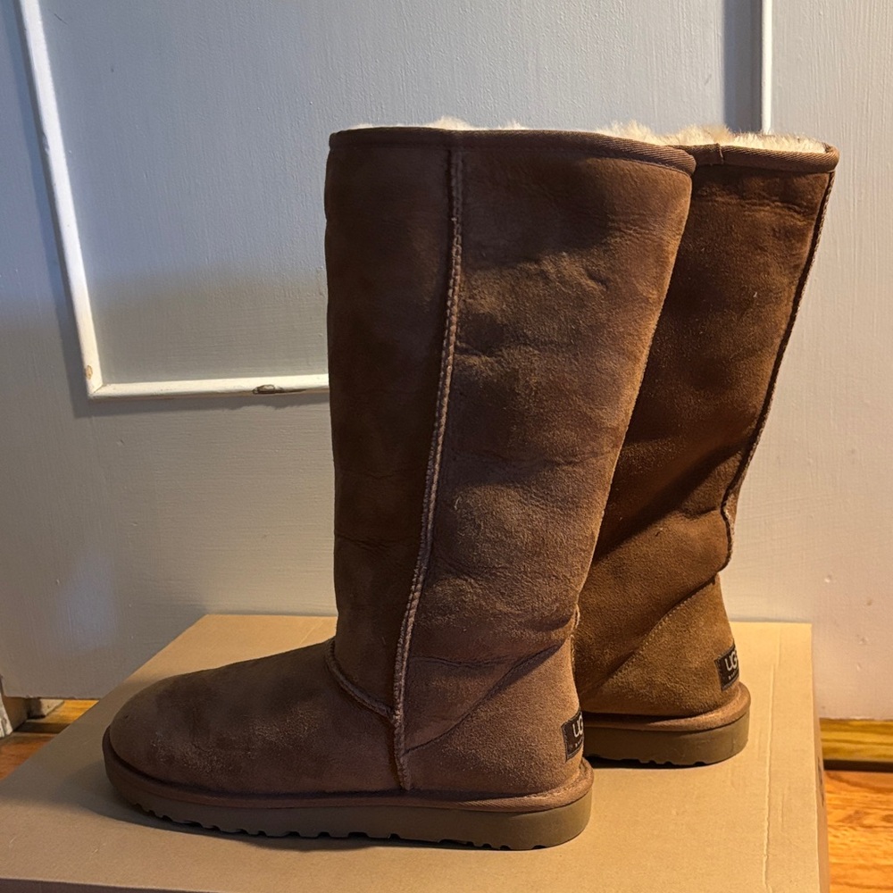UGG Brown Winter Boots